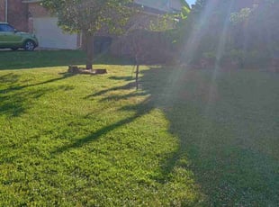 Rose S.'s Lawn Service service result
