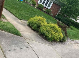 Rocco T.'s Lawn Mowing service result