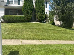 Miyan B.'s Lawn Care service result