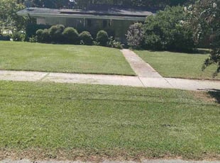 Javier M.'s Lawn Service service result