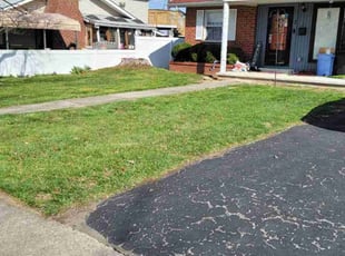 Lotanna O.'s Lawn Service service result