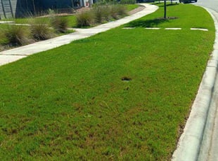 Robert P.'s Lawn Service service result