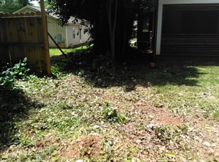 Cleanups by Adams Paiz for John S. in Charlotte, NC