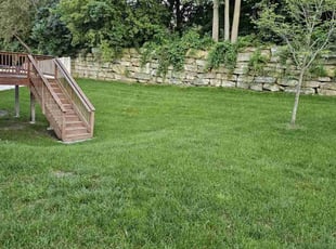 Junghoon W.'s Lawn Mowing service result