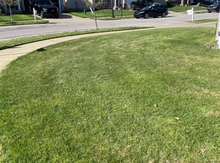 Michelle C.'s Grass Cutting service result