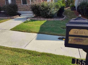 Jarvis H.'s Grass Cutting service result