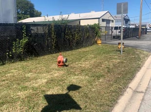 Jeff L.'s Lawn Mowing service result