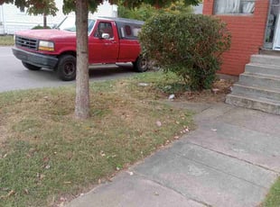 Bush Trimming by Peter Teal for Daisy R. in Louisville, KY