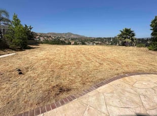 Leaf Removal by Jose Olivares for Keith C. in Los Angeles, CA