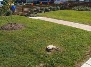 Anthony P.'s Lawn Service service result
