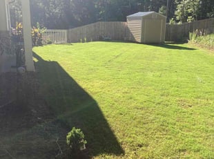Brock M.'s Grass Cutting service result