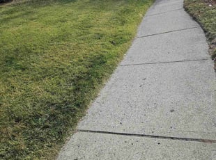 Shyceka A.'s Lawn Mowing Service service result