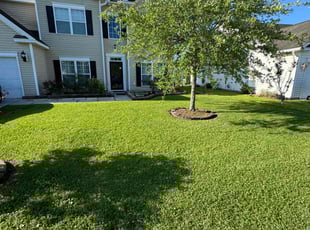 Edward M.'s Lawn Care service result
