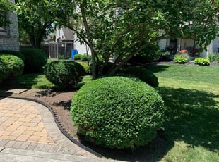 Laurinda K.'s Lawn Mowing service result