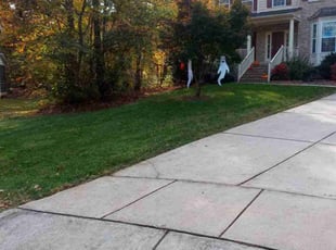 Beverly C.'s Lawn Mowing service result