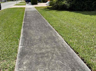 Maurice J.'s Lawn Mowing Service service result