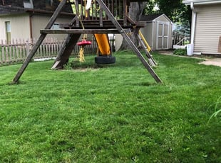 Timothy P.'s Lawn Mowing Service service result