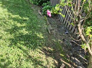 Weeding by Ramiro Vicente for Nicole C. in O'Fallon, MO