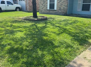 Lyle T.'s Lawn Mowing service result