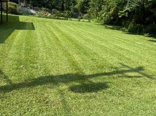 Mahammad A.'s Lawn Mowing Service service result