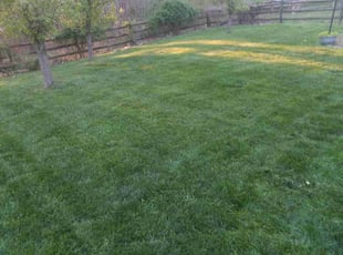 Randy S.'s Lawn Service service result