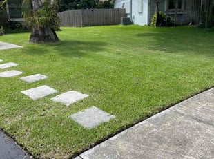 Brianna S.'s Lawn Maintenance service result