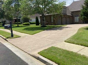 Michelle S.'s Lawn Service service result