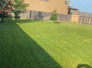 Angela L.'s Lawn Mowing service result