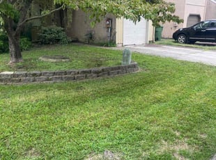 Mallory B.'s Lawn Mowing service result