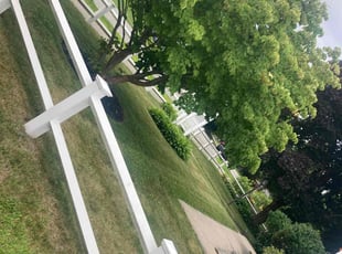 Sharon L.'s Lawn Mowing service result