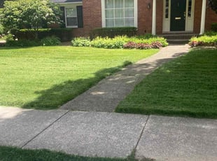 Ryan R.'s Lawn Mowing service result
