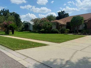 Clarice T.'s Lawn Mowing service result