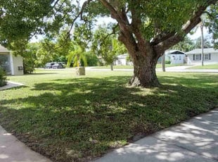 Eric G.'s Yard Cutting service result