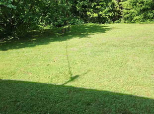 John P.'s Grass Cutting service result