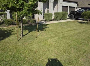 Dr Carol E.'s Lawn Service service result