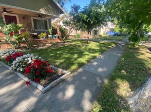 GlΓ³ria A.'s Lawn Service service result