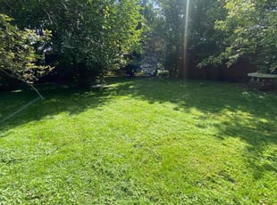 Alfonzie S.'s Grass Cutting service result