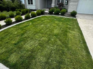 Lisa G.'s Lawn Service service result