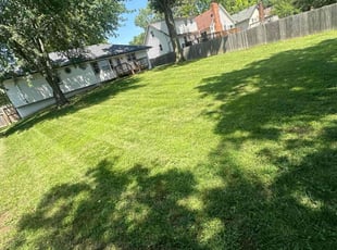 Victoria B.'s Lawn Service service result