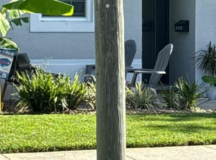 Weeding by Dwaylon Peterson for Anthony S. in Tampa, FL
