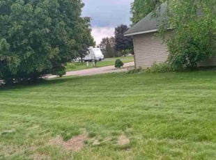 Seliner J.'s Lawn Maintenance service result