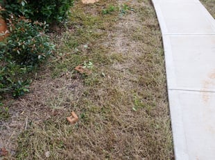 Weeding by Alberto Sandoval for Nina k. in Marietta, GA
