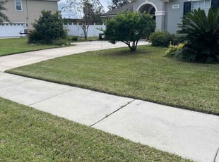 Ellen/Jim N.'s Lawn Care service result