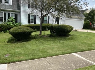 Bush Trimming by Derrick Crudup for Billy W. in Raleigh, NC