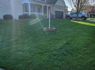 Leigh K.'s Lawn Mowing service result
