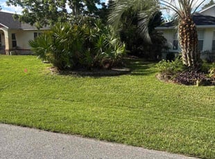 Paul K.'s Lawn Mowing service result