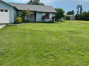 Damaso S.'s Lawn Maintenance service result