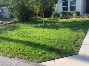 Terra E.'s Lawn Mowing Service service result