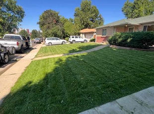 David N.'s Grass Cutting service result