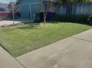 Annie S.'s Lawn Maintenance service result